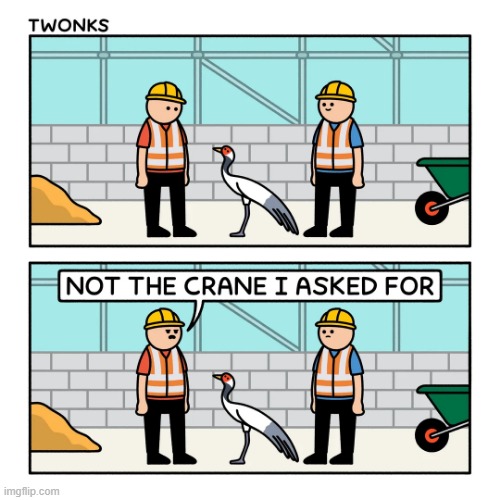 image tagged in construction,builders,crane,bird,literally,huh | made w/ Imgflip meme maker