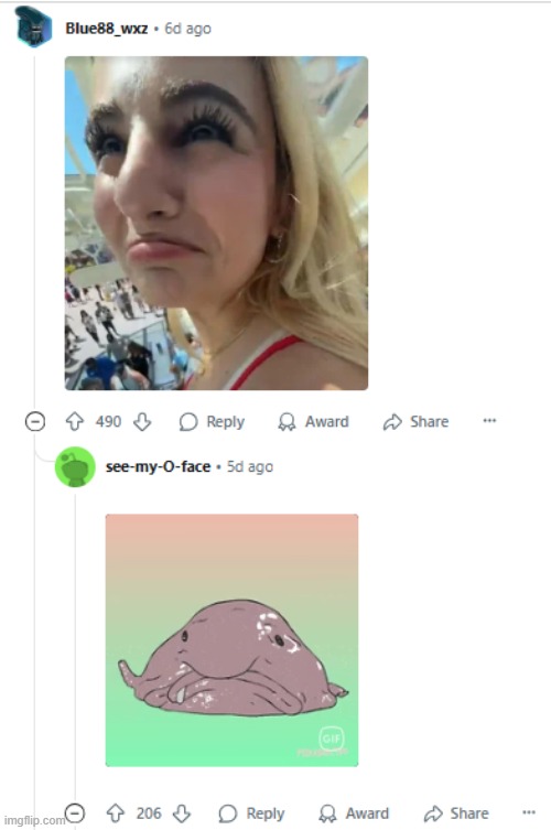 image tagged in girl,blobfish | made w/ Imgflip meme maker