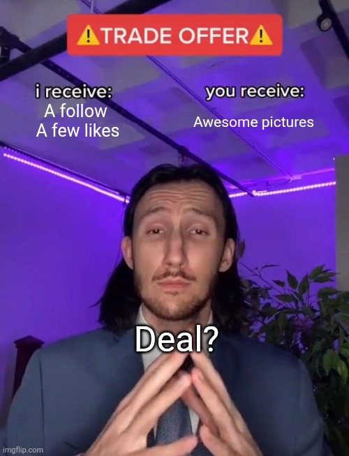 Trade Offer | A follow 
A few likes; Awesome pictures; Deal? | image tagged in trade offer | made w/ Imgflip meme maker