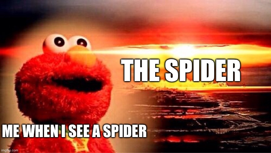 elmo nuclear explosion | THE SPIDER; ME WHEN I SEE A SPIDER | image tagged in elmo nuclear explosion | made w/ Imgflip meme maker