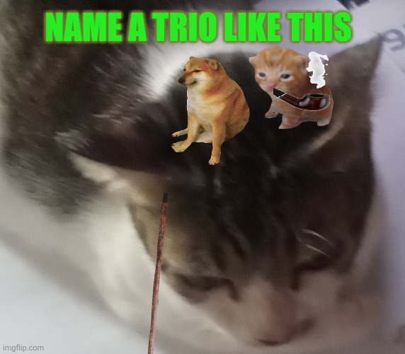 Name a better trio like this | NAME A TRIO LIKE THIS | image tagged in ming mong | made w/ Imgflip meme maker