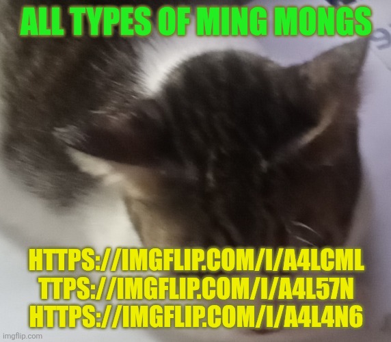Ming mong | ALL TYPES OF MING MONGS; HTTPS://IMGFLIP.COM/I/A4LCML TTPS://IMGFLIP.COM/I/A4L57N HTTPS://IMGFLIP.COM/I/A4L4N6 | image tagged in ming mong | made w/ Imgflip meme maker