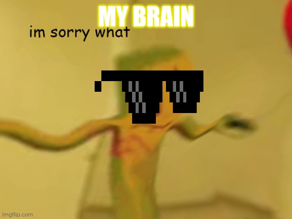 I'mSorryWhatygoer | MY BRAIN | image tagged in i'msorrywhatygoer | made w/ Imgflip meme maker