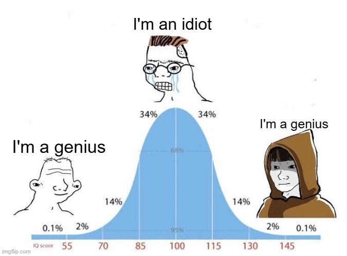 Bell Curve | I'm an idiot; I'm a genius; I'm a genius | image tagged in bell curve | made w/ Imgflip meme maker