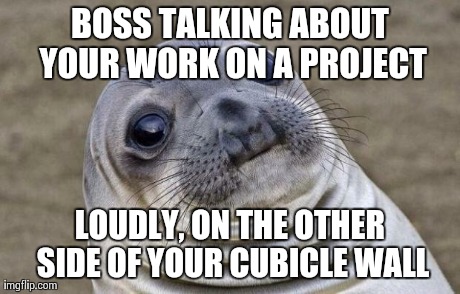 Awkward Moment Sealion Meme | BOSS TALKING ABOUT YOUR WORK ON A PROJECT LOUDLY, ON THE OTHER SIDE OF YOUR CUBICLE WALL | image tagged in memes,awkward moment sealion | made w/ Imgflip meme maker