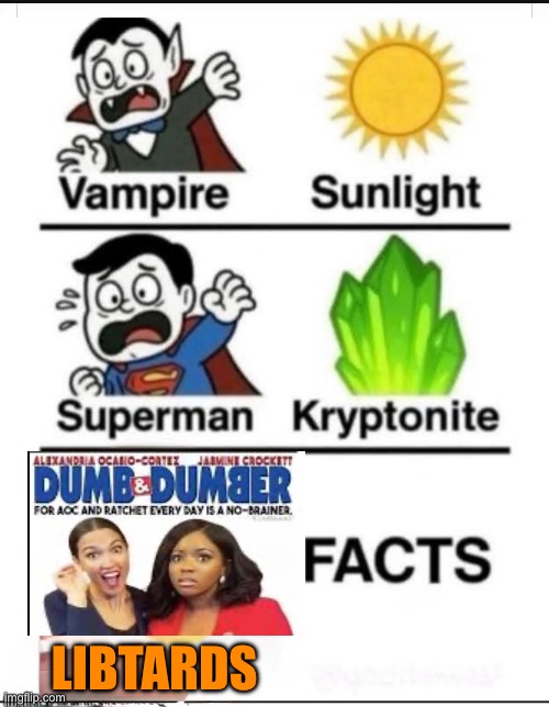 Libtard | LIBTARDS | image tagged in crazy aoc,crochet | made w/ Imgflip meme maker