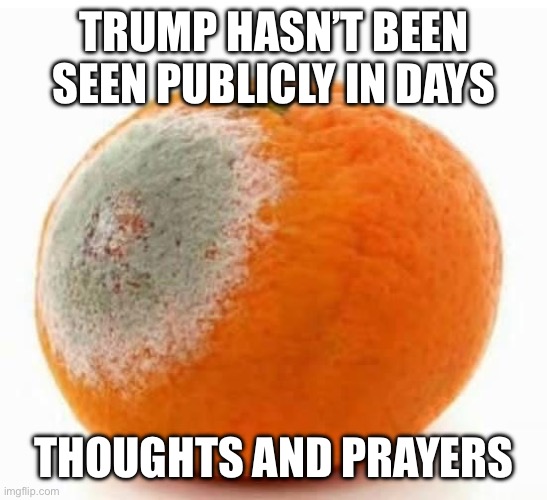 Rotting Trump orange | TRUMP HASN’T BEEN SEEN PUBLICLY IN DAYS; THOUGHTS AND PRAYERS | image tagged in rotting trump orange | made w/ Imgflip meme maker