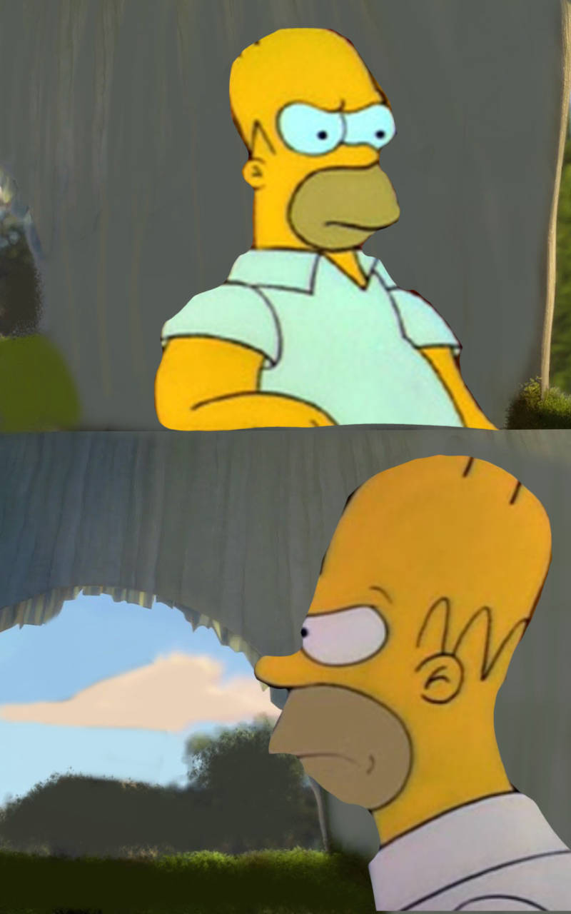 homer meme Blank Meme Template