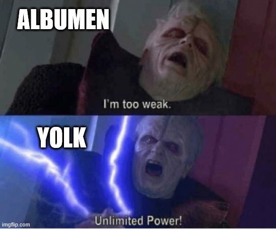 Too weak Unlimited Power | ALBUMEN YOLK | image tagged in too weak unlimited power | made w/ Imgflip meme maker