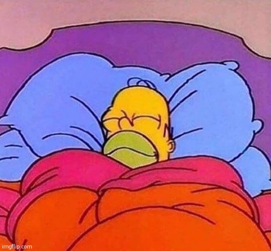 how i sleep at night knowing i successfully baited half the stream and left | image tagged in homer simpson sleeping peacefully | made w/ Imgflip meme maker
