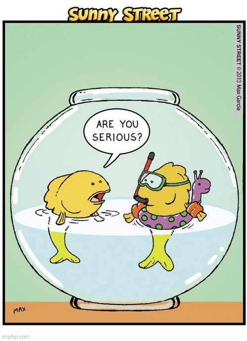 image tagged in comics,sunny street,fish,snorkel,not serious | made w/ Imgflip meme maker