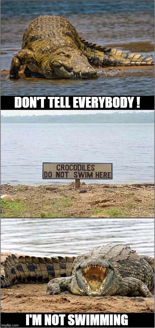 Can Crocodiles Read This Sign ? | DON'T TELL EVERYBODY ! I'M NOT SWIMMING | image tagged in funny signs,crocodiles,swimming,dark humour | made w/ Imgflip meme maker