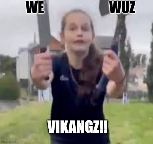 WE; WUZ; VIKANGZ!! | image tagged in stupid people be like | made w/ Imgflip meme maker