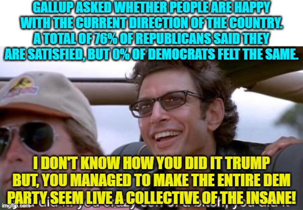 Not 'seem' . . . ARE. | GALLUP ASKED WHETHER PEOPLE ARE HAPPY WITH THE CURRENT DIRECTION OF THE COUNTRY. A TOTAL OF 76% OF REPUBLICANS SAID THEY ARE SATISFIED, BUT 0% OF DEMOCRATS FELT THE SAME. I DON'T KNOW HOW YOU DID IT TRUMP BUT, YOU MANAGED TO MAKE THE ENTIRE DEM PARTY SEEM LIVE A COLLECTIVE OF THE INSANE! | image tagged in you crazy son of a bitch you did it | made w/ Imgflip meme maker