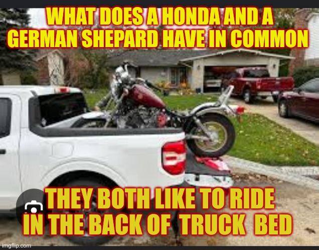 Truck motorcycles | WHAT DOES A HONDA AND A GERMAN SHEPARD HAVE IN COMMON; THEY BOTH LIKE TO RIDE IN THE BACK OF  TRUCK  BED | image tagged in truck motorcycles | made w/ Imgflip meme maker