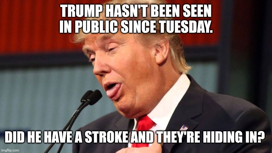 Stupid trump | TRUMP HASN'T BEEN SEEN IN PUBLIC SINCE TUESDAY. DID HE HAVE A STROKE AND THEY'RE HIDING IN? | image tagged in stupid trump | made w/ Imgflip meme maker
