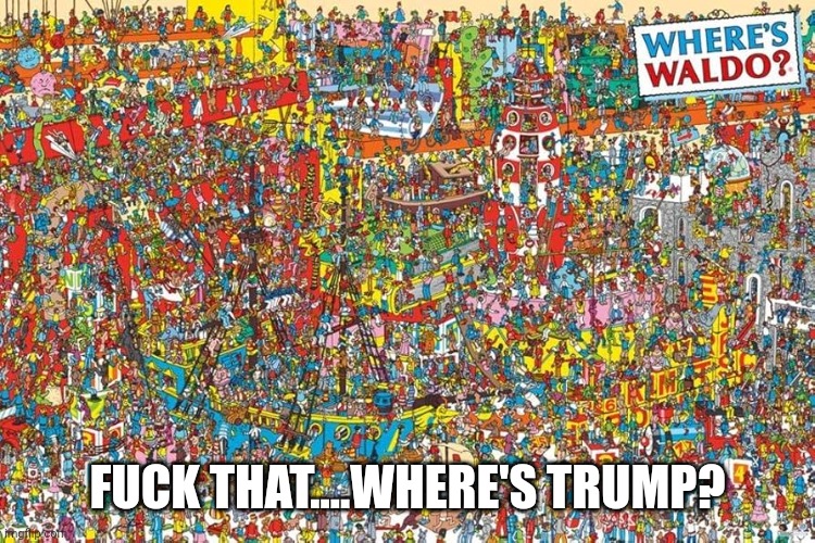 Where's Trump? | FUCK THAT....WHERE'S TRUMP? | image tagged in hiding,donald trump | made w/ Imgflip meme maker