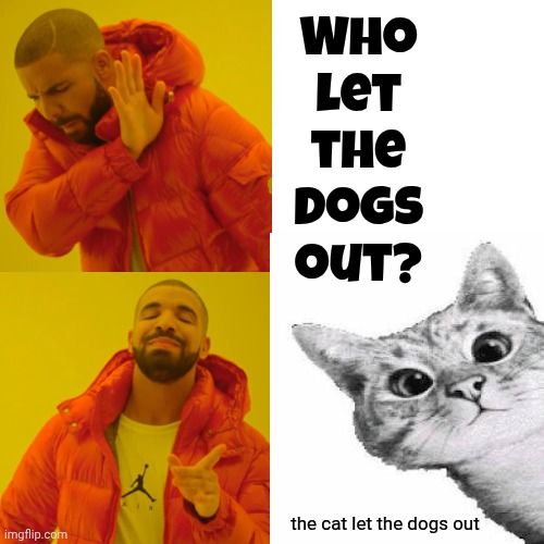 The Mystery Is Solved | Who let the dogs out? the cat let the dogs out | image tagged in memes,drake hotline bling,cats,dogs,cats and dogs,who let the dogs out | made w/ Imgflip meme maker
