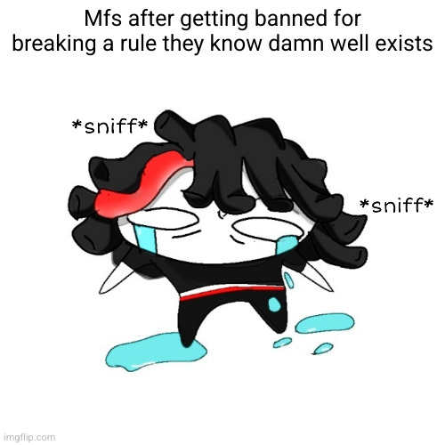 sniff sniff | Mfs after getting banned for breaking a rule they know damn well exists | image tagged in sniff sniff | made w/ Imgflip meme maker
