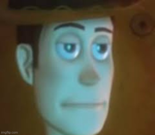 dissapointed woody | image tagged in dissapointed woody | made w/ Imgflip meme maker