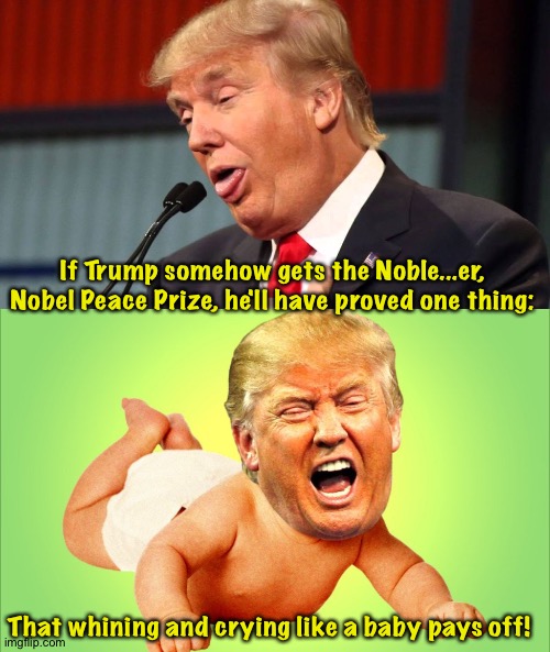 Noble...er, Nobel, Trump is neither one. | If Trump somehow gets the Noble...er, Nobel Peace Prize, he'll have proved one thing:; That whining and crying like a baby pays off! | image tagged in stupid trump,baby trump | made w/ Imgflip meme maker