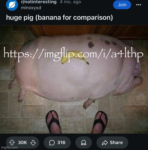 thp | https://imgflip.com/i/a4lthp | made w/ Imgflip meme maker