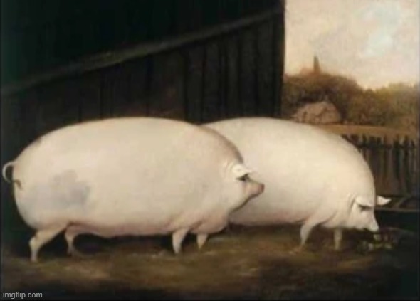 Bröther May I have some | image tagged in br ther may i have some | made w/ Imgflip meme maker