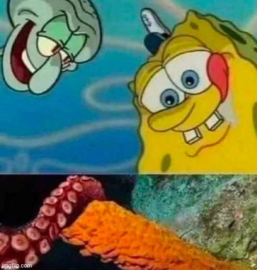 Squid dick and spong cock Blank Meme Template
