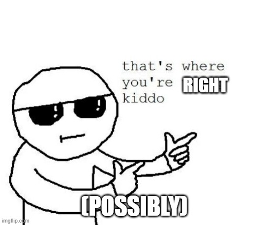 That's where you're wrong kiddo | RIGHT (POSSIBLY) | image tagged in that's where you're wrong kiddo | made w/ Imgflip meme maker