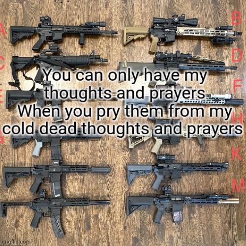 Give up the guns, keep your thoughts and prayers. | image tagged in trump,gun control no no no,thoughts and prayers is what maga offers,maga | made w/ Imgflip meme maker