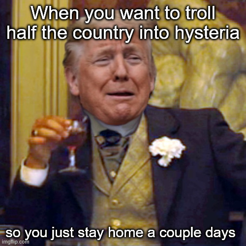 It's funny when their brains explode | When you want to troll half the country into hysteria; so you just stay home a couple days | image tagged in laughing leo trump | made w/ Imgflip meme maker