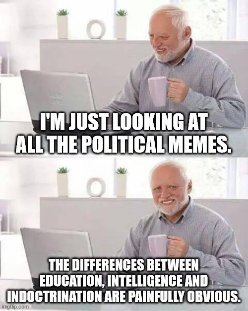 Political Differences | I'M JUST LOOKING AT ALL THE POLITICAL MEMES. THE DIFFERENCES BETWEEN EDUCATION, INTELLIGENCE AND INDOCTRINATION ARE PAINFULLY OBVIOUS. | image tagged in memes,hide the pain harold,education,intelligence,indoctrination,trolls | made w/ Imgflip meme maker