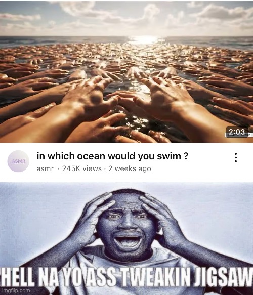 image tagged in hell nah yo ass tweaking bottom panel only | made w/ Imgflip meme maker
