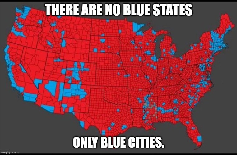 There are no blue states, only blue cities. | THERE ARE NO BLUE STATES; ONLY BLUE CITIES. | image tagged in chicago,walz | made w/ Imgflip meme maker