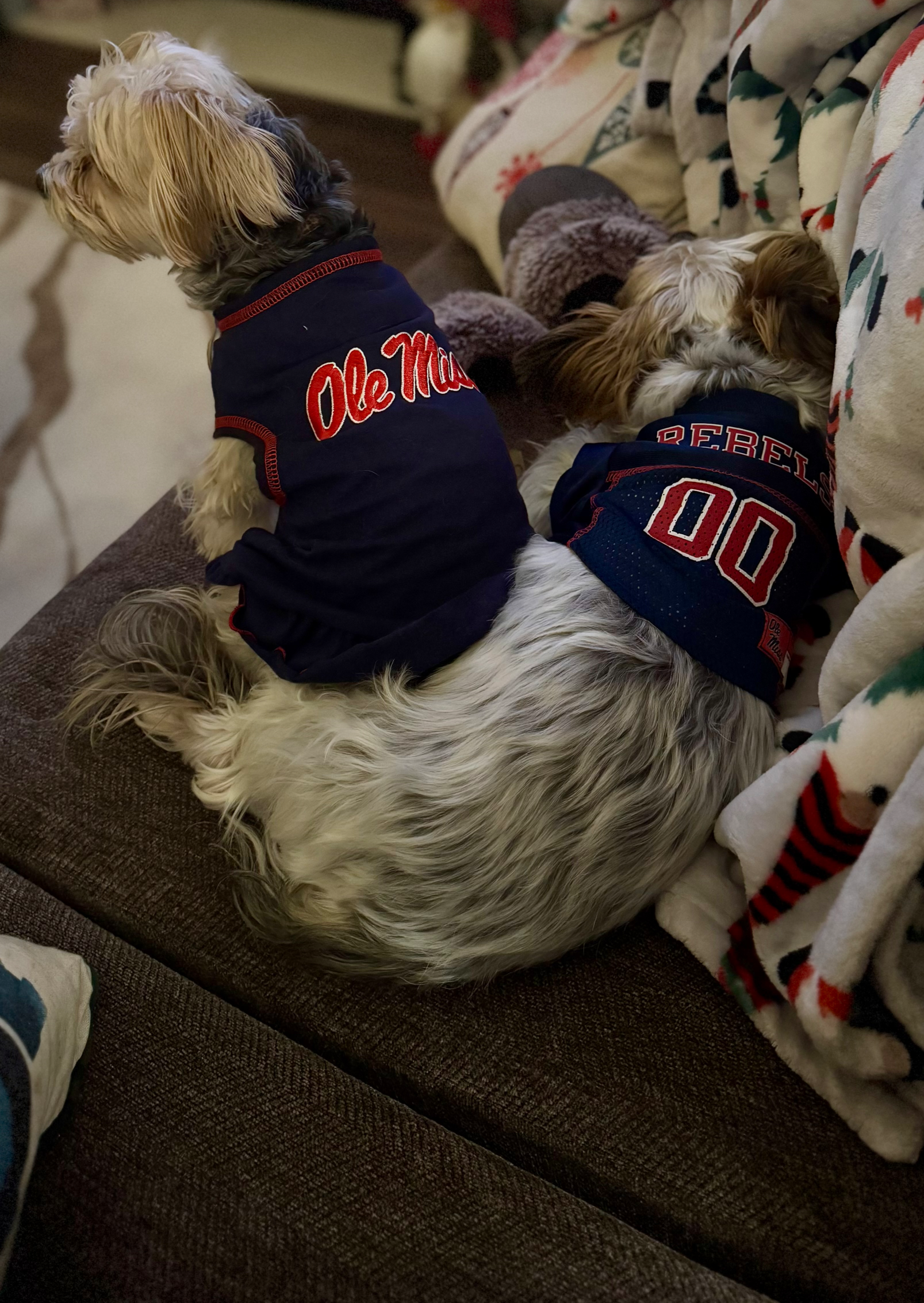 Ole Miss Football Blank Meme Template