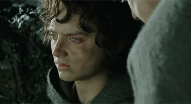 sleepless frodo Blank Meme Template