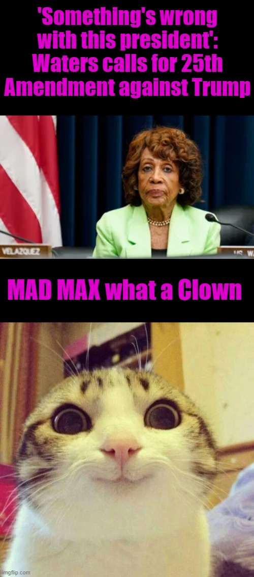 Why don't you retire to your multimillion $ estate outside of your district you supposedly represent | 'Something's wrong with this president': Waters calls for 25th Amendment against Trump; MAD MAX what a Clown | image tagged in memes,smiling cat | made w/ Imgflip meme maker