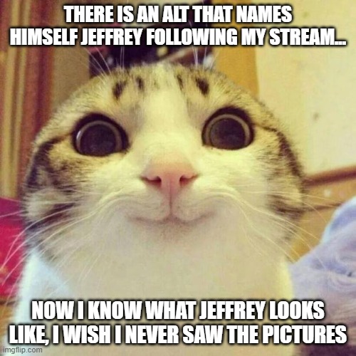......... | THERE IS AN ALT THAT NAMES HIMSELF JEFFREY FOLLOWING MY STREAM... NOW I KNOW WHAT JEFFREY LOOKS LIKE, I WISH I NEVER SAW THE PICTURES | image tagged in memes,smiling cat | made w/ Imgflip meme maker