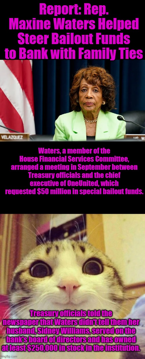 She wants TRUMP out, so she doesn't go to jail. | Report: Rep. Maxine Waters Helped Steer Bailout Funds to Bank with Family Ties; Waters, a member of the House Financial Services Committee, arranged a meeting in September between Treasury officials and the chief executive of OneUnited, which requested $50 million in special bailout funds. Treasury officials told the newspaper that Waters didn't tell them her husband, Sidney Williams, served on the bank's board of directors and has owned at least $250,000 in stock in the institution. | image tagged in memes,smiling cat | made w/ Imgflip meme maker