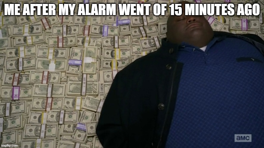 guy sleeping on pile of money | ME AFTER MY ALARM WENT OF 15 MINUTES AGO | image tagged in guy sleeping on pile of money | made w/ Imgflip meme maker