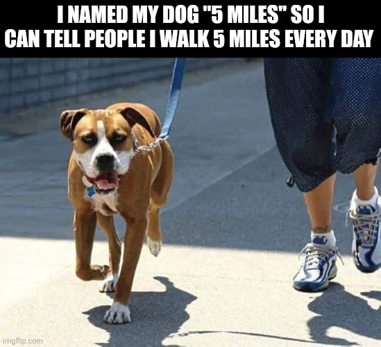 I Named My Dog "5 Miles" So I Can Tell People I Walk 5 Miles Every Day | I NAMED MY DOG "5 MILES" SO I CAN TELL PEOPLE I WALK 5 MILES EVERY DAY | image tagged in chris joines | made w/ Imgflip meme maker