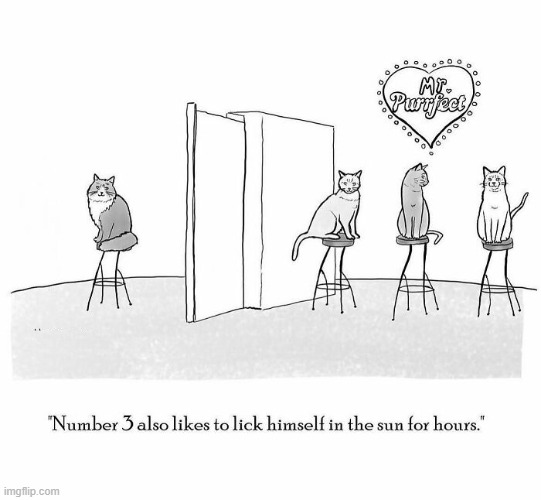 The Dating Game | image tagged in comics | made w/ Imgflip meme maker