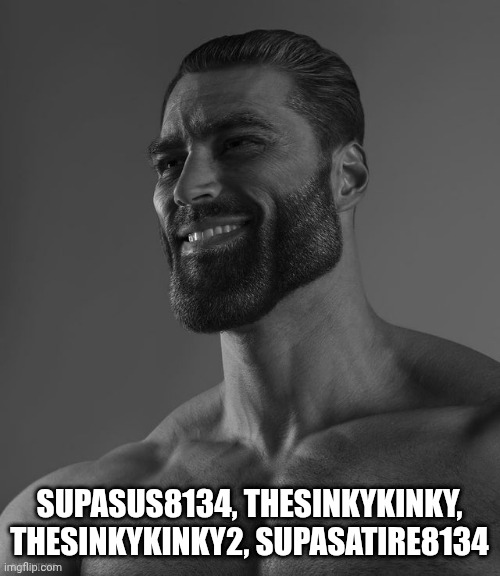 Supasus8134 irl | SUPASUS8134, THESINKYKINKY, THESINKYKINKY2, SUPASATIRE8134 | image tagged in giga chad | made w/ Imgflip meme maker