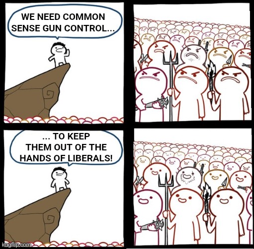 problem solved | WE NEED COMMON SENSE GUN CONTROL... ... TO KEEP THEM OUT OF THE HANDS OF LIBERALS! | image tagged in preaching to the mob,gun control | made w/ Imgflip meme maker