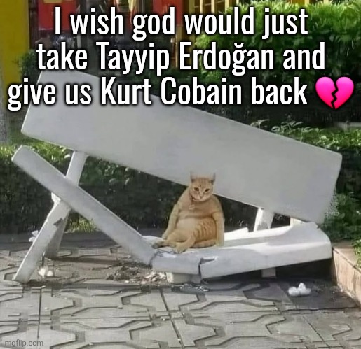 cat on broken bench | I wish god would just take Tayyip Erdoğan and give us Kurt Cobain back 💔 | image tagged in cat on broken bench | made w/ Imgflip meme maker