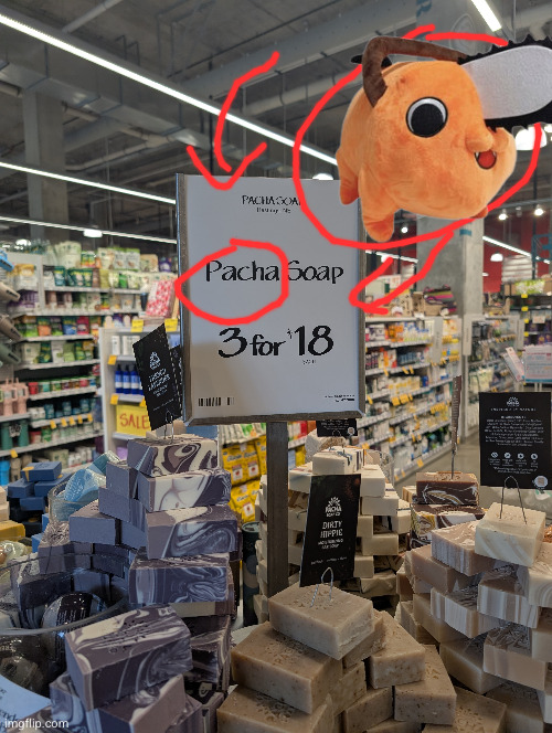 don't come to whole foods | image tagged in pochita,anime,soap,whole foods | made w/ Imgflip meme maker