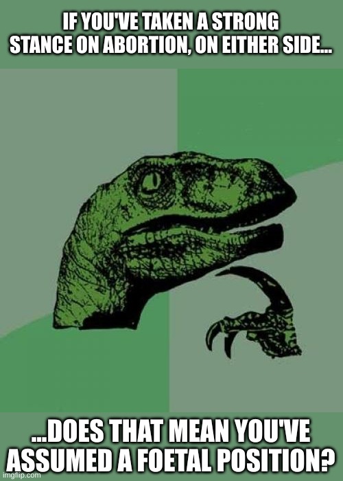 Isn't that what it means? | IF YOU'VE TAKEN A STRONG STANCE ON ABORTION, ON EITHER SIDE... ...DOES THAT MEAN YOU'VE ASSUMED A FOETAL POSITION? | image tagged in memes,philosoraptor | made w/ Imgflip meme maker