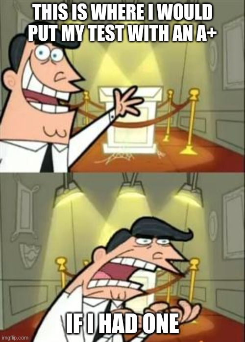 This Is Where I'd Put My Trophy If I Had One | THIS IS WHERE I WOULD PUT MY TEST WITH AN A+; IF I HAD ONE | image tagged in memes,this is where i'd put my trophy if i had one | made w/ Imgflip meme maker