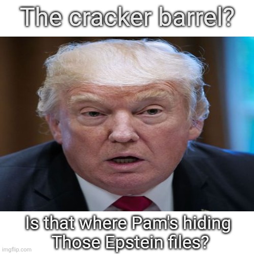 Blank Transparent Square Meme | The cracker barrel? Is that where Pam's hiding 
Those Epstein files? | image tagged in memes,blank transparent square | made w/ Imgflip meme maker