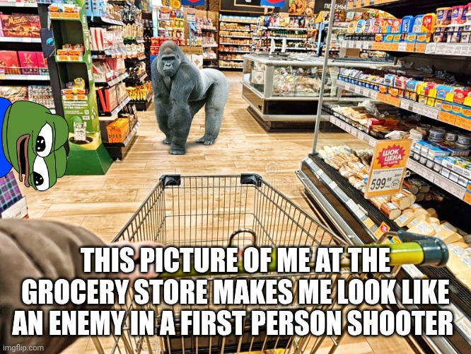 Grocery store meme | THIS PICTURE OF ME AT THE GROCERY STORE MAKES ME LOOK LIKE AN ENEMY IN A FIRST PERSON SHOOTER | image tagged in gaming | made w/ Imgflip meme maker